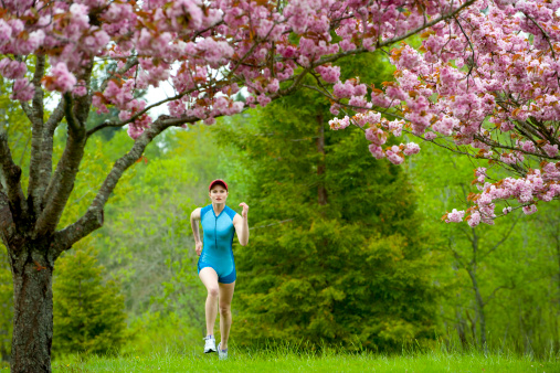 Chicago Endurance Sports 2014 Spring Training Program