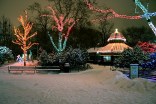 Lincoln Park Zoo Lights Up the Holidays