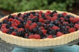 Cooking With all Things Trader Joe's