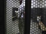 Cook  County Jail a Treasure Trove of Information