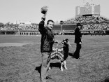 The Cubs Curse
