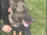 Orland Park Couple Has Vested Interest In K-9s