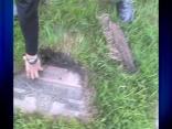 FBI Video Shows Desecration at Burr Oak