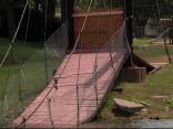 Dozens Injured, No One Killed in Bridge Collapse