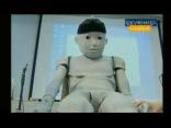 Really, It's a Robot