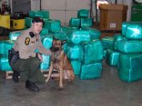 Over $9.3 Million in Pot Seized
