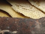 Why is My Chimney Buzzing?