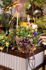 2013 Flower & Garden Show