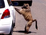 Weird News Photos