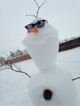 Your Snowman Photos