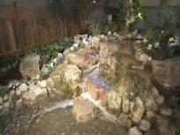 Growing Green at the Flower and Garden Show