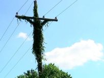 Believers Spot Image of Jesus on Utility Pole