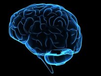 Concussion?  If In Doubt, Sit It Out