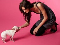 Check in to a Doggie Hotel