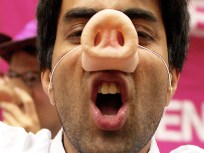 Pigs Are Just Like Us, Researchers Say