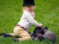 Mister, Fix It -- The Lawn, That Is