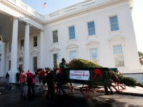 White House Christmas Tree Makes Its Debut