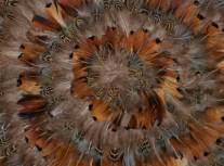 Pheasant Feather Mat