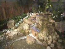 Growing Green at the Flower and Garden Show