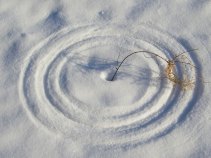 Chicago's Snow in Photos