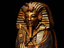 King Tut Died of Broken Leg, Tests Show
