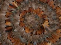 Pheasant Feather Mat