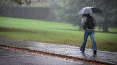 Passing Showers and Storms Return Wednesday
