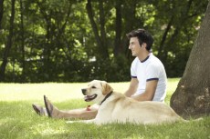 Every Dog Has its Day
