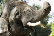 Biz to GOP: Borrring!