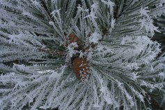 Storm Bears Down