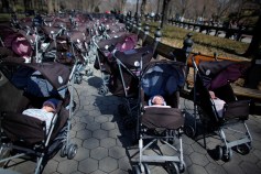March of Strollers Is No Pretty Promenade
