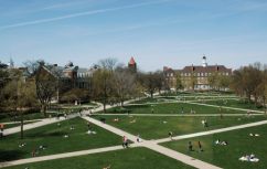 Illini Trustees To Blame?