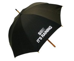 Blame It On The Rain !