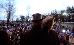 Groundhog Debate: Phil vs. Willie