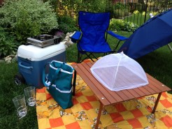Wayne's Weekend: Get Ready for Movies in the Park