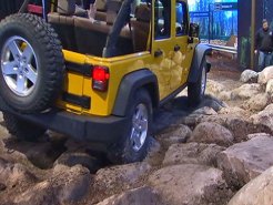 Traffic Surges at 2011 Chicago Auto Show