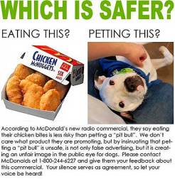 McDonald's Radio Ad Angers Frothing Dog Owners