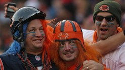 Bear Bites: What's the Next Big Jersey Trend? 