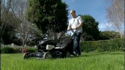Yard Waste May One Day Fuel Your Car