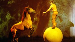 Cirque du Soleil with Horses