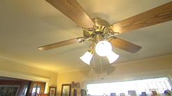 Savings Seen in Switch to CFLs