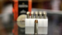 State Senate Committee OKs Ammunition Limit