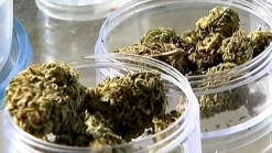Illinois Senate Committee OKs Medical Marijuana