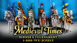 Medieval Times Tweetaway