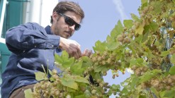 Revolution Brewing, Shedd Team Up for New Beer