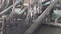 Weekend Web: Cows Create Alternative Fuel