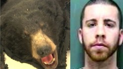 Burglar Falls Asleep Mid-Crime, Arrested Next Morning