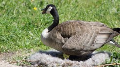 May Weather Photos