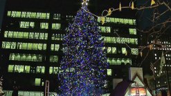 Chicago Lights Its Christmas Tree