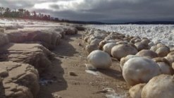 Hundreds of Ice Balls Form Along Lake Michigan